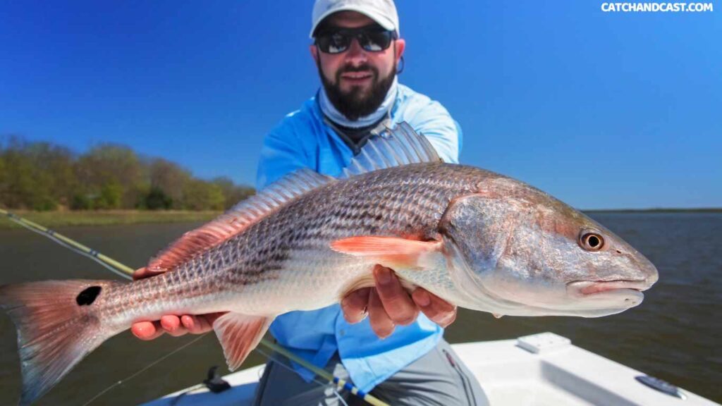 Fly fishing for redfish